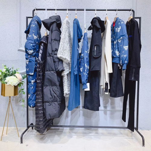 唯愛秋冬裝 達衣巖女裝新款羽絨服引領北方服裝市場潮流